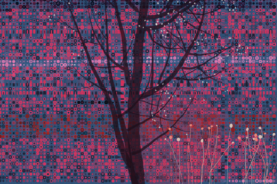 bidaniel tree sample output